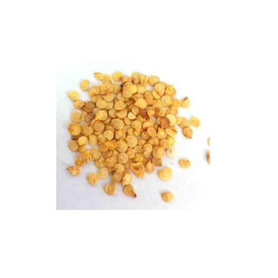chilli-seeds-1.webp