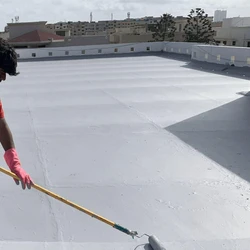 Waterproofing Building Services