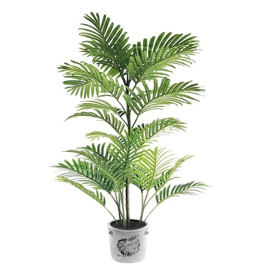 malabar-neem-plant-2.webp
