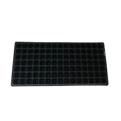 Hips Seedling Trays
