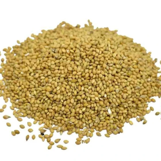 yellow-millet-seeds-2.webp