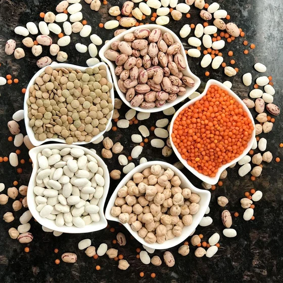 legume-and-lentil-2.webp
