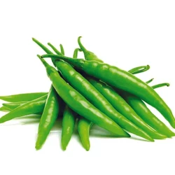 Organic Spicy Chilli Seeds