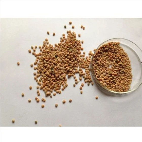 sagar-hybrid-kasturi-muskmelon-seeds-2.webp