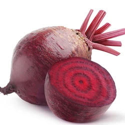 Agriculture Beetroot Seed
