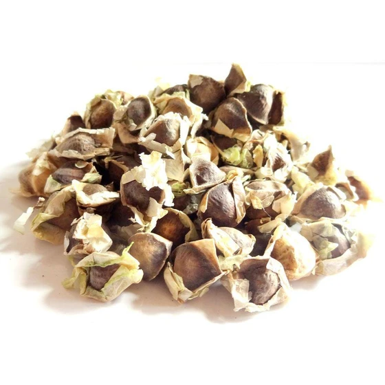 origin-moringa-seeds-1.webp