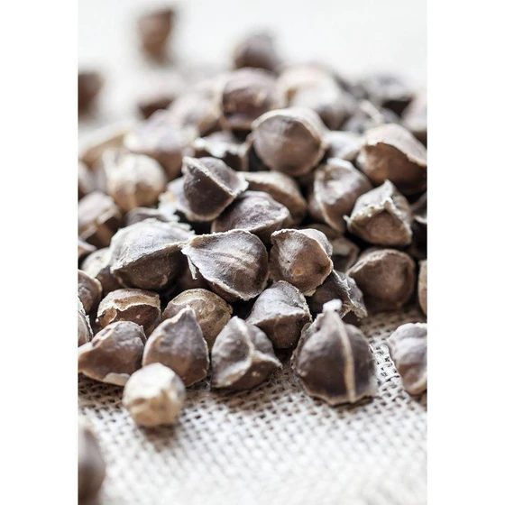 origin-moringa-seeds-2.webp