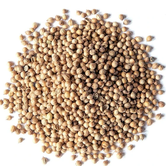 origin-coriander-seeds-2.webp