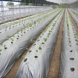 Agriculture Mulching Film
