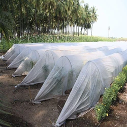 White Non Woven Crop Cover