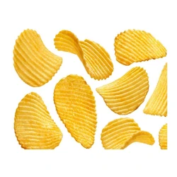 Potato Chip