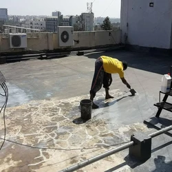 Building Roof Waterproofing