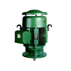 Vertical Electric Motors