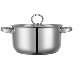Stainless Steel Dutch Oven