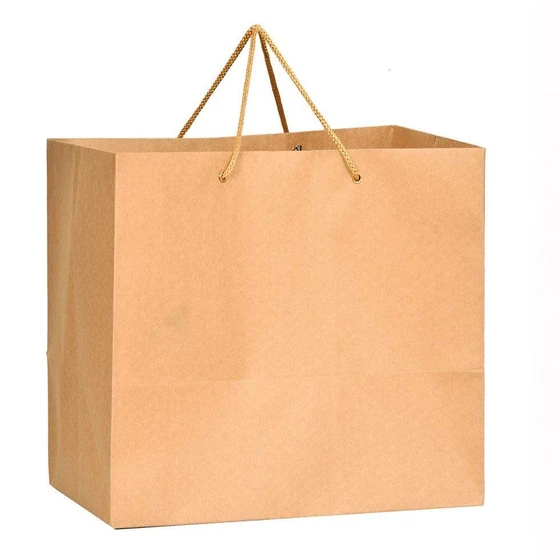 crafted-paper-carry-bag-2.webp