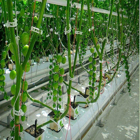coconut-grow-bags-2.webp