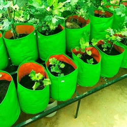 HDPE Grow Bags