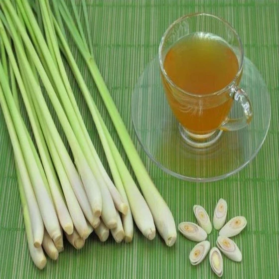 grass-ginger-oil-2.webp