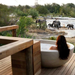 Safari Bath Tub