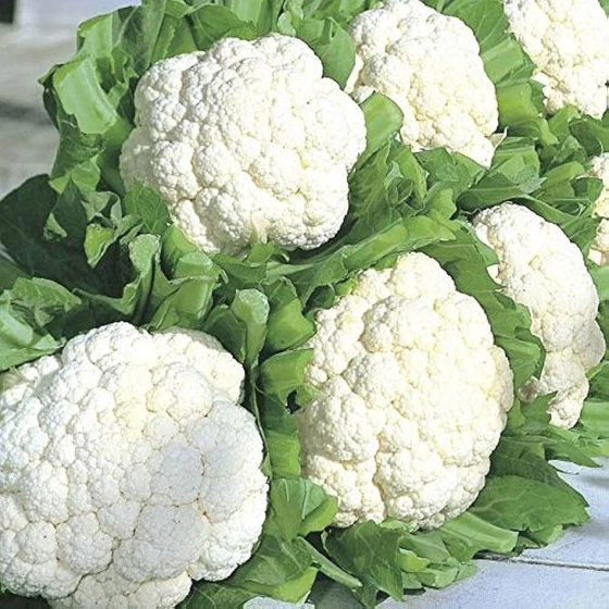 cauliflower-kitchen-garden-2.webp