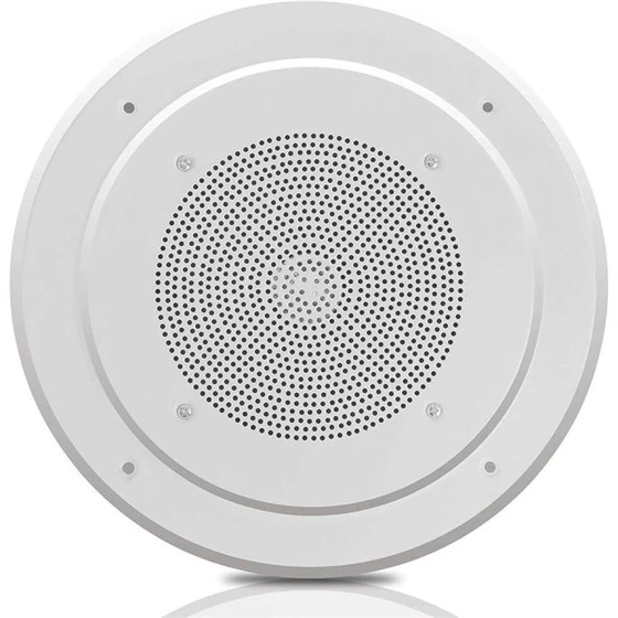 ceiling-loudspeaker-system-2.webp
