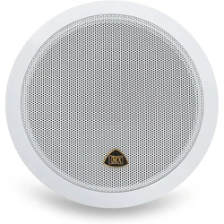 Ceiling Loudspeaker System