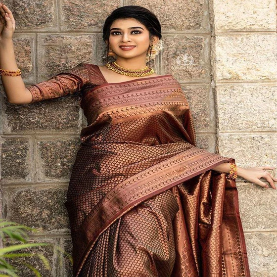 jacquard-embellished-saree-2.webp