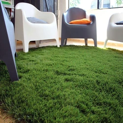 Artificial Indoor Grass Mats — Home restaurant use