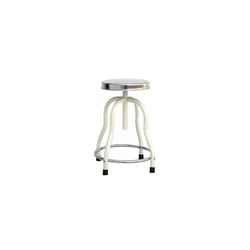 Revolving SS Top Stool