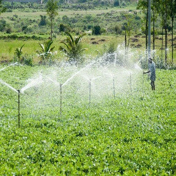 irrigation-watering-system-2.webp