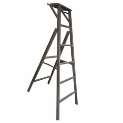 Foldable Iron Ladder