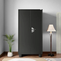 Plain Steel Almirah