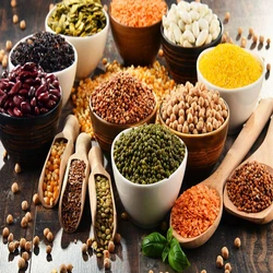 Organic Fresh Pulses