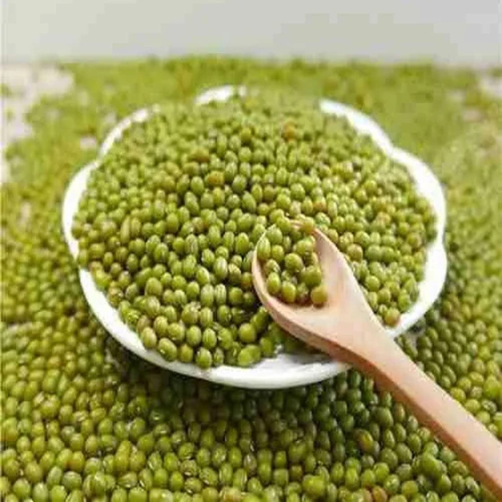 green-mung-beans-2.webp