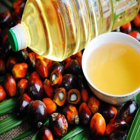 palm-organic-oil-2.webp