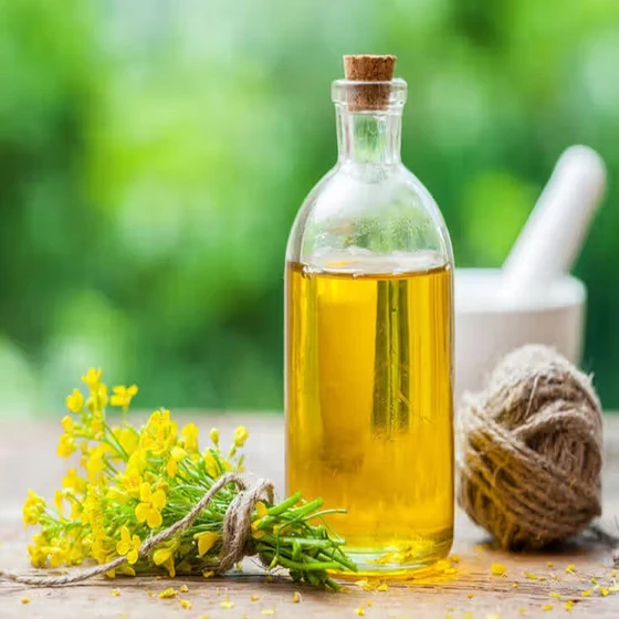 rapeseed-crude-oil-2.webp