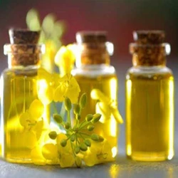 Rapeseed Crude Oil
