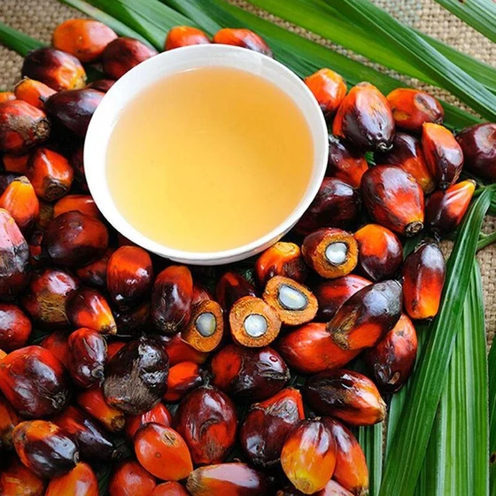 palmolein-refined-oil-2.webp