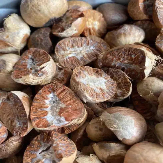 betel-nuts-2.webp