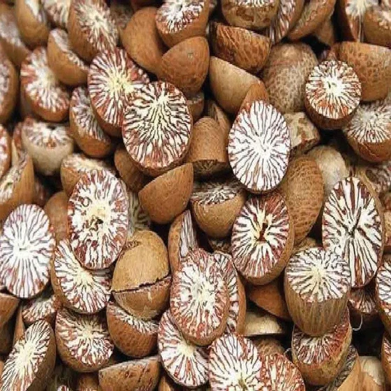 healthy-betel-nuts-2.webp