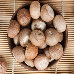 Healthy Betel Nuts