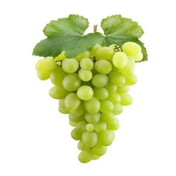 Green Grapes Fruit