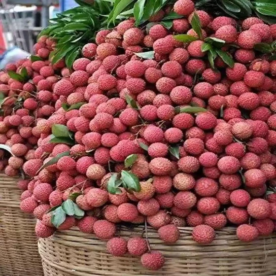 pink-fresh-litchi-2.webp