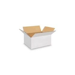 Carton Box — Recyclable lightweight container