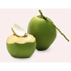 Natural Fresh Coconut
