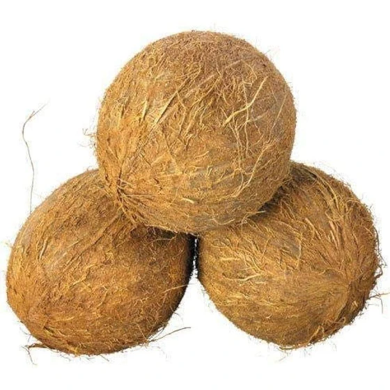 organic-fresh-coconut-2.webp