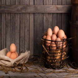Brown Poultry Egg