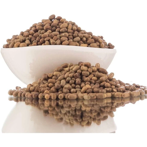 brand-moth-dal-2.webp