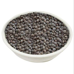 Masoor Black Dal — This is a Vegetarian product