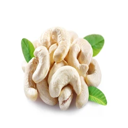 Cashew Raw Nut 